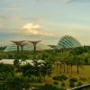 053 - Gardens by the Bay 04