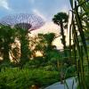059 - Gardens by the Bay 07