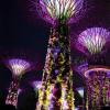 064 - Gardens by the Bay 11