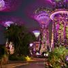 065 - Gardens by the Bay 12
