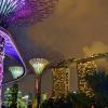 066 - Gardens by the Bay 13