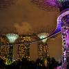 067 - Gardens by the Bay 14
