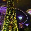 068 - Gardens by the Bay 15