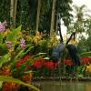 094 - Botanic Garden 15