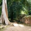 Visite Angkor Vat (36)