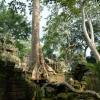 Visite Angkor Vat (58)